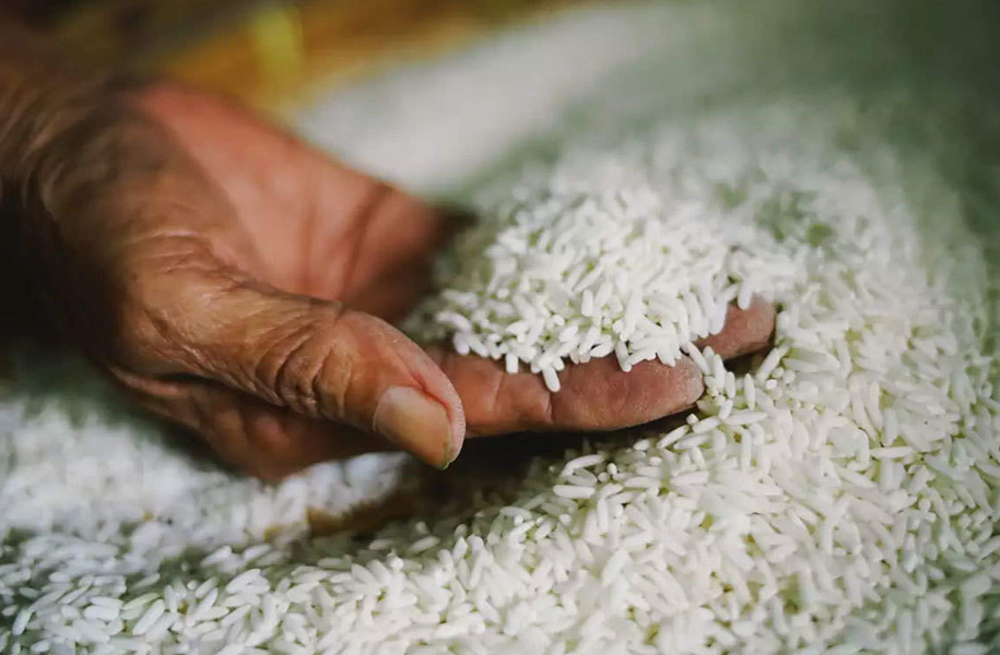 Maintaining and Caring for Your Rice Roller Machine